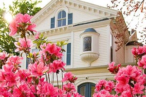 荷兰选手尽展拼搏精神，力争一决高下