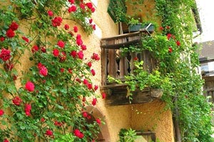 斯洛文尼亚客胜以色列，欧洲预选赛领跑小组