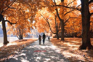 巴萨遭遇斯洛文尼亚冷门，小组赛将出局